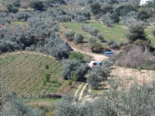 Tarsus'ta şüpheli ölüm